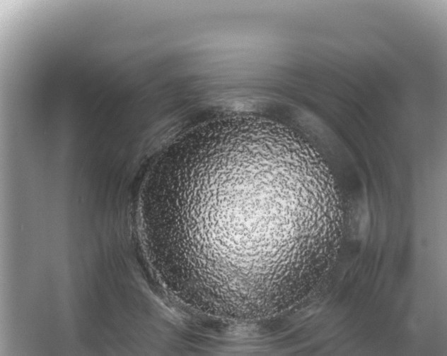 X0000067340410200604071356