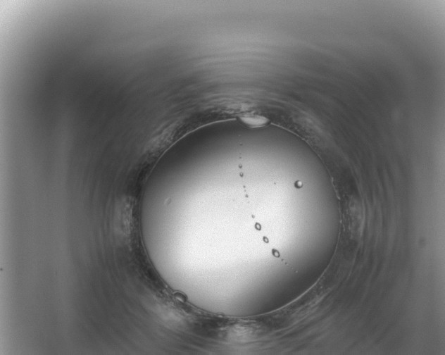 X0000067340412200604071356