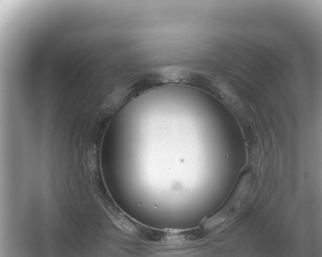 X0000067340413200604071356