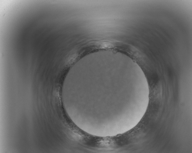 X0000067340415200604071356