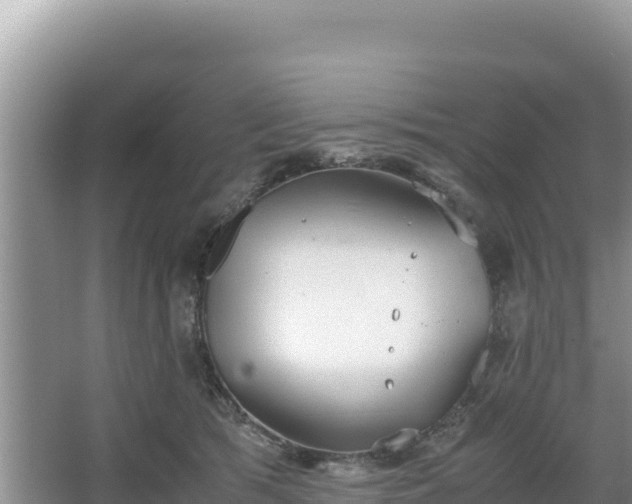 X0000067340417200604071356