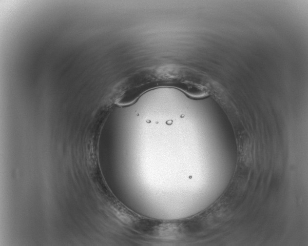 X0000067340418200604071356