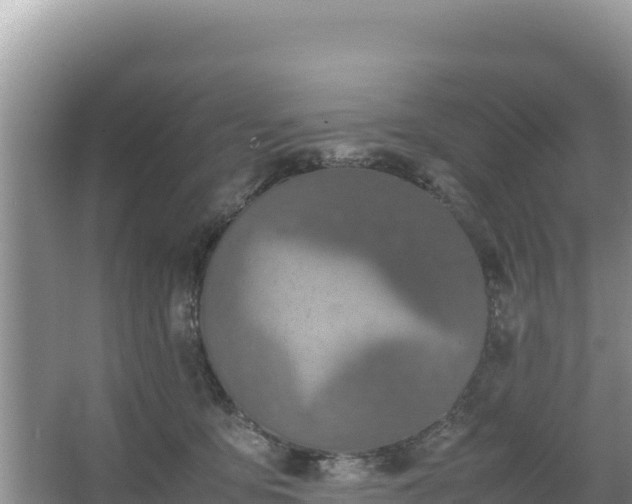 X0000067340419200604071356