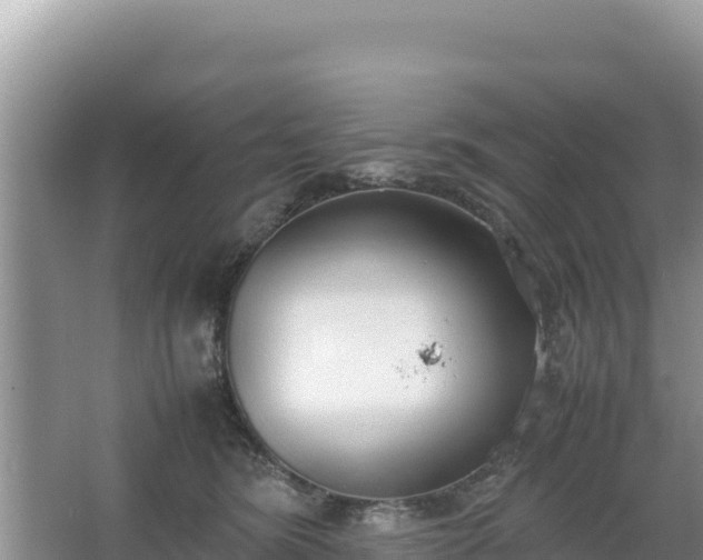 X0000067340420200604071356