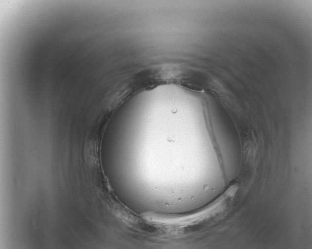 X0000067340421200604071356