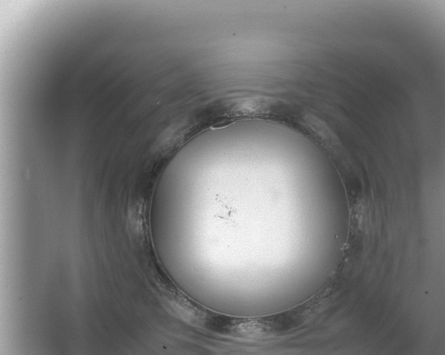 X0000067340423200604071356