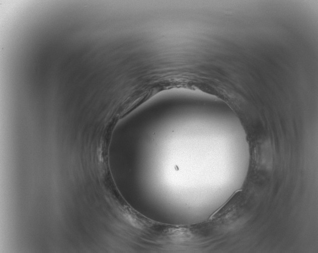 X0000067340424200604071356