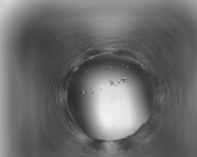 X0000067340425200604071356