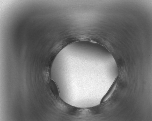 X0000067340427200604071356