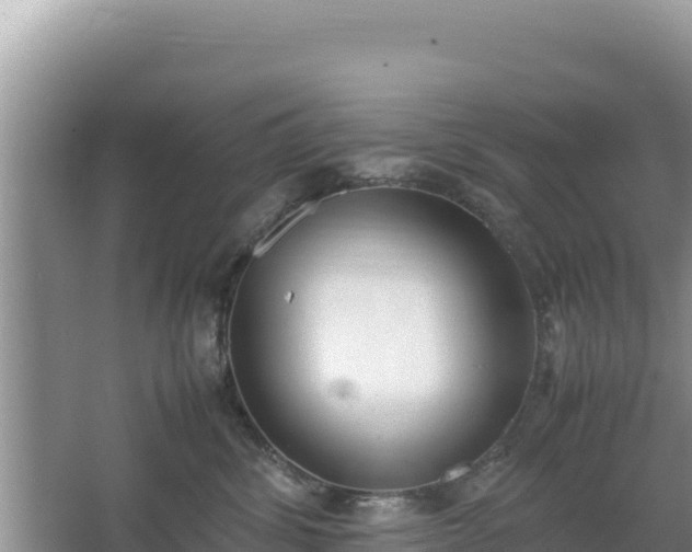 X0000067340428200604071356