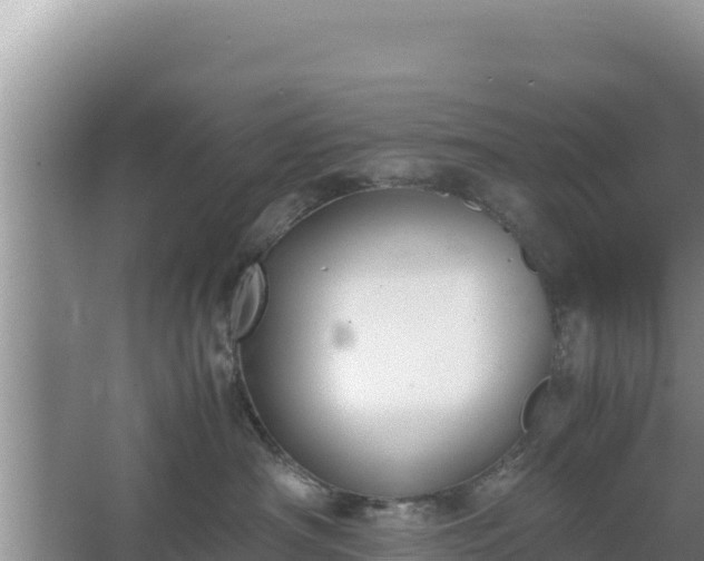 X0000067340430200604071356