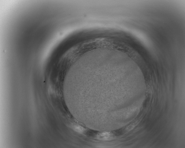 X0000067340431200604071356