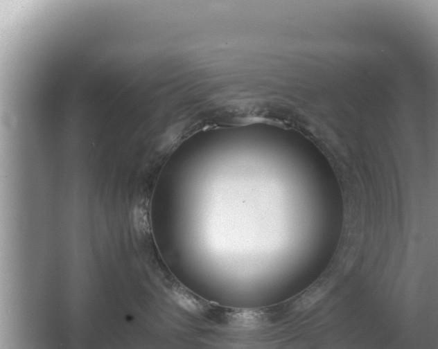 X0000067340432200604071356