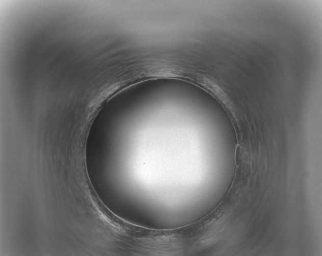 X0000067340433200604071355