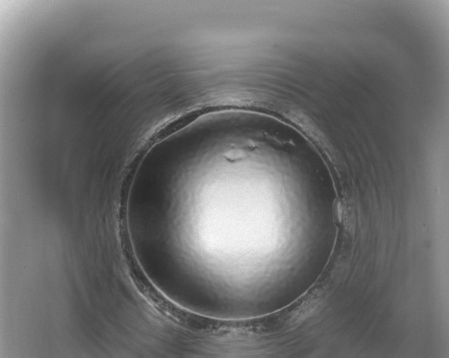 X0000067340434200604071355