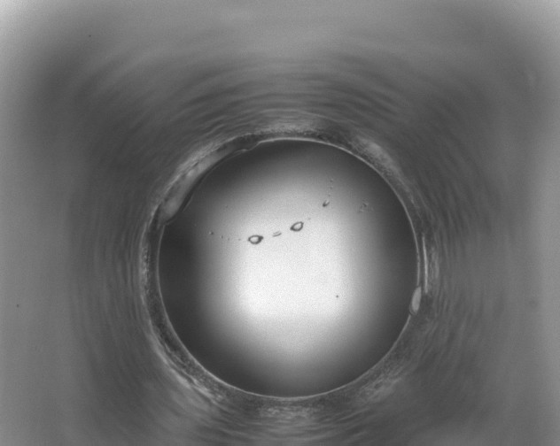 X0000067340435200604071355