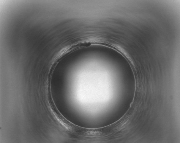 X0000067340437200604071355