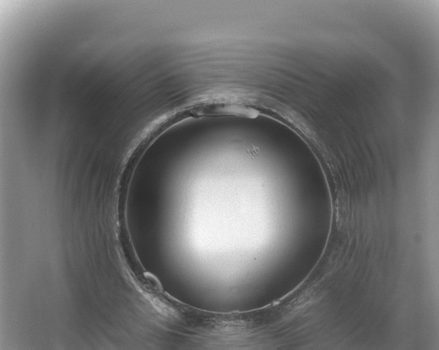 X0000067340438200604071355