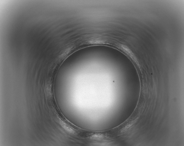 X0000067340441200604071355