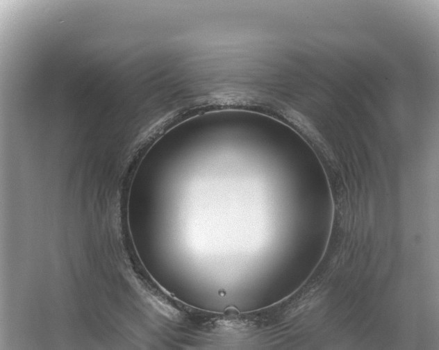 X0000067340442200604071355