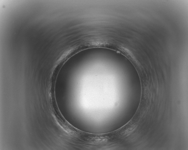 X0000067340443200604071355