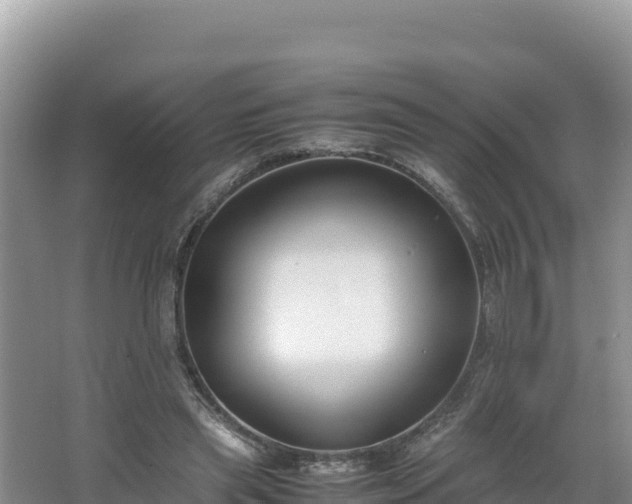 X0000067340445200604071355