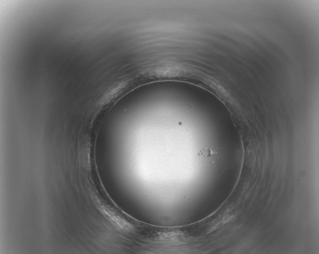 X0000067340446200604071355