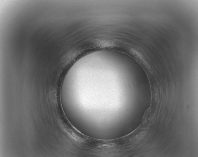 X0000067340447200604071355