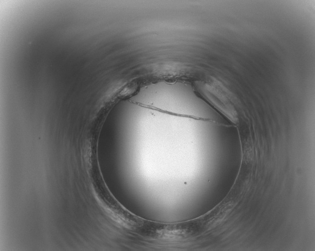 X0000067340448200604071355