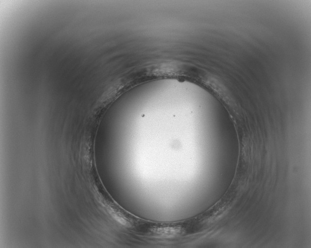 X0000067340449200604071355