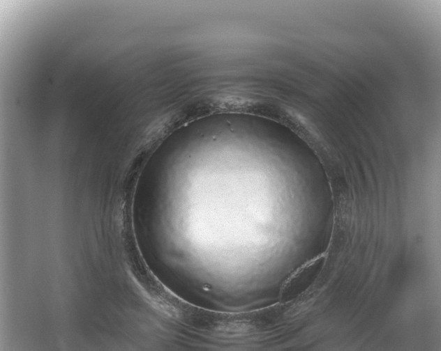 X0000067340451200604071355