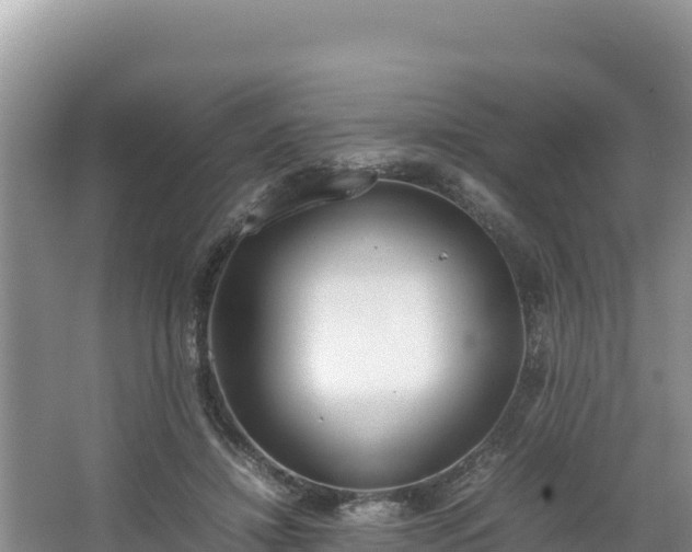 X0000067340452200604071355