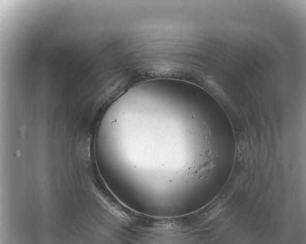 X0000067340454200604071355