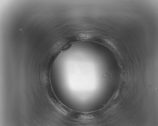 X0000067340455200604071355