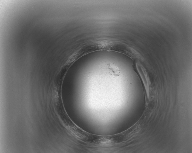 X0000067340456200604071355