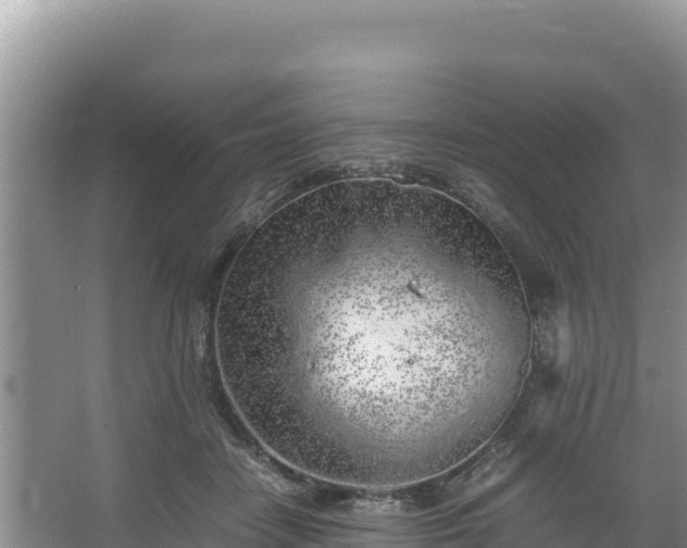 X0000067340458200604071355