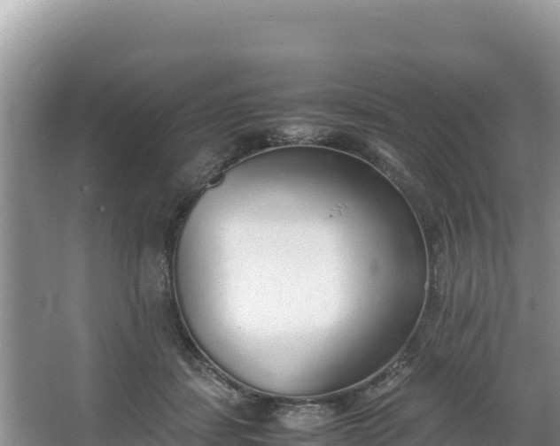 X0000067340459200604071355