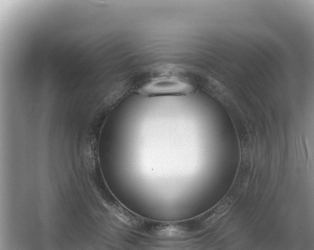 X0000067340460200604071355