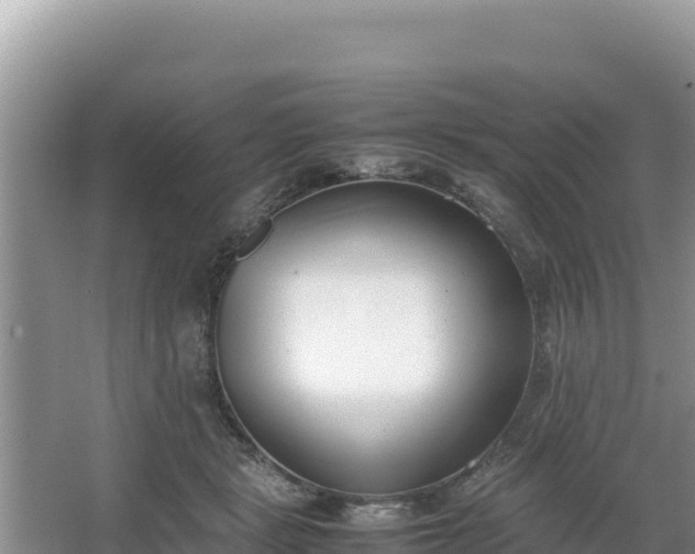 X0000067340461200604071355