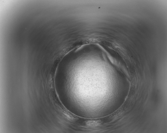 X0000067340465200604071356