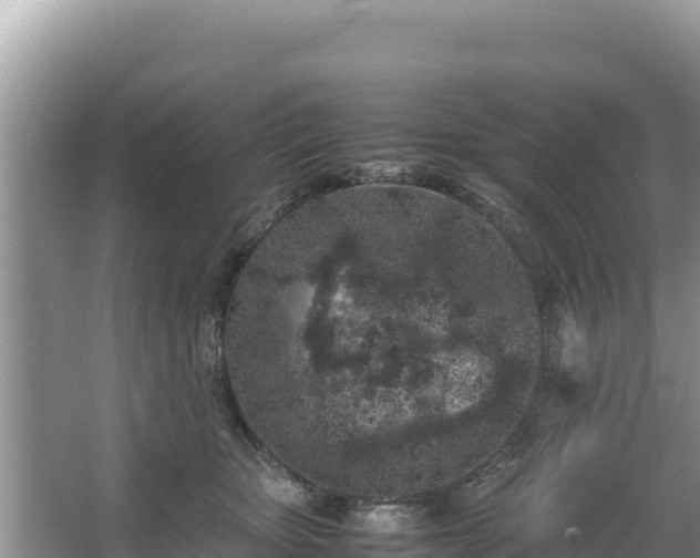 X0000067340467200604071356