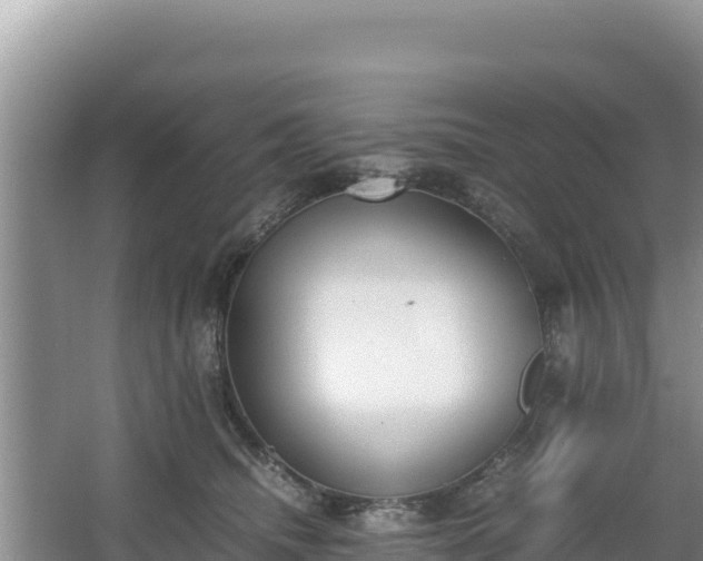 X0000067340468200604071356