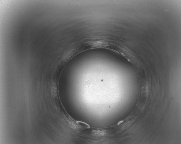 X0000067340469200604071356