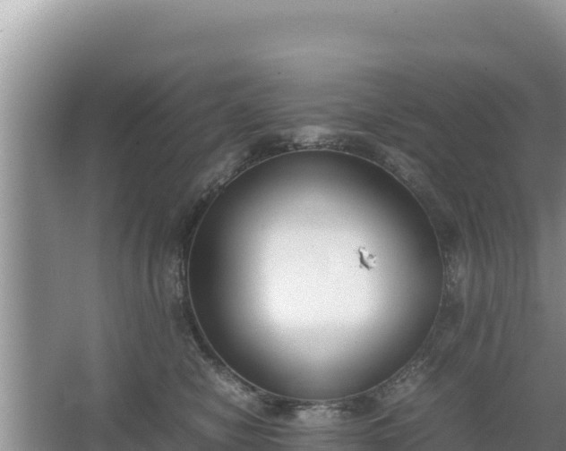 X0000067340470200604071356