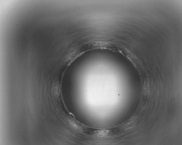 X0000067340474200604071356