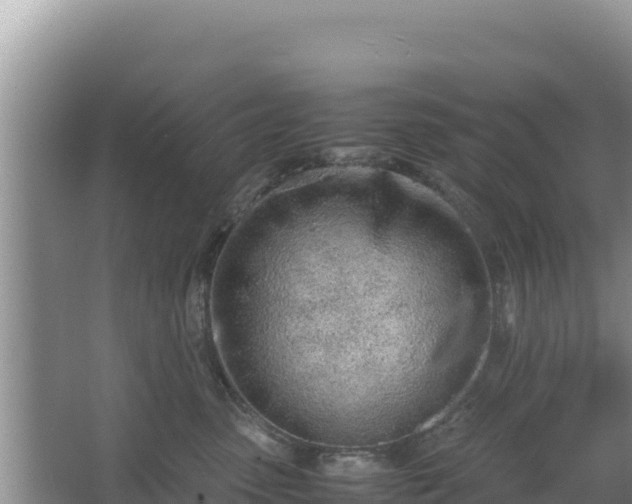 X0000067340475200604071356