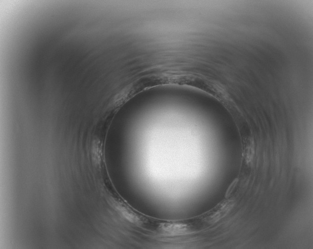 X0000067340476200604071356