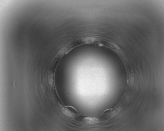 X0000067340477200604071356