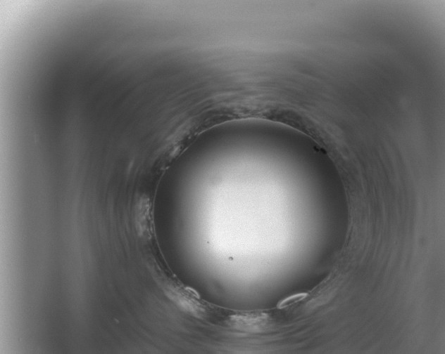 X0000067340480200604071356