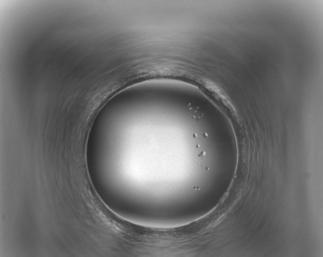 X0000067340481200604071355